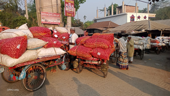 পেঁয়াজের দাম নিয়ে হতাশ চাষিরা