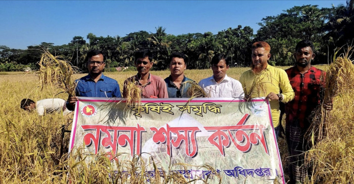 ধানের ভালো ফলনে কৃষকের মুখে হাসি