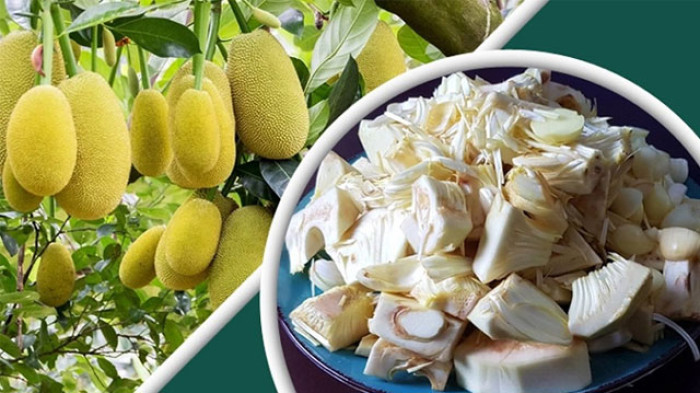 কাঁচা কাঁঠাল কেন খাবেন