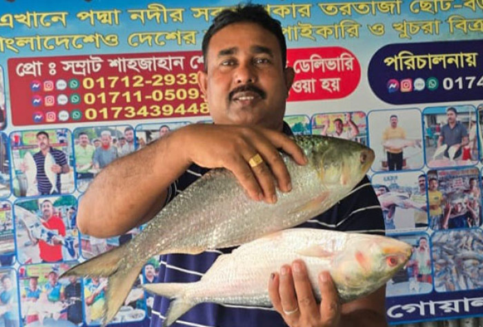 পদ্মার দুই ইলিশ ১৬ হাজার টাকায় বিক্রি