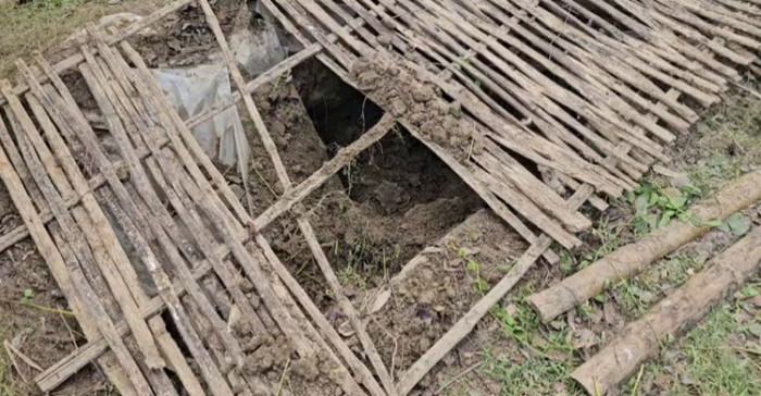 ফাইল ছবি