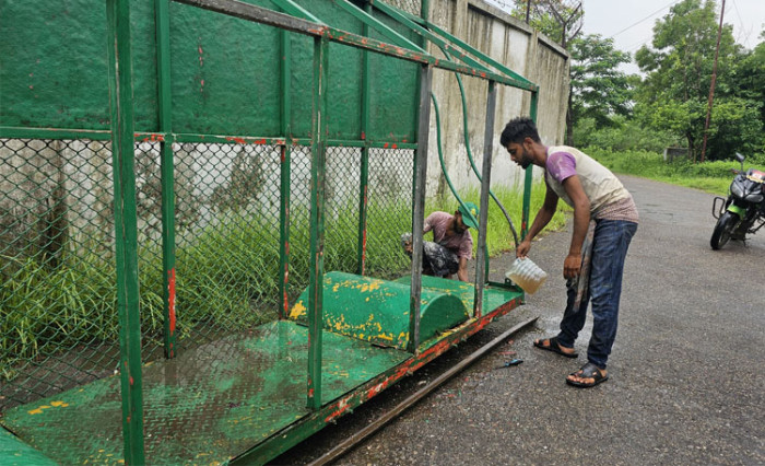 সংস্কার কাজের জন্য বন্ধ সাফারি পার্কের কোর সাফারি