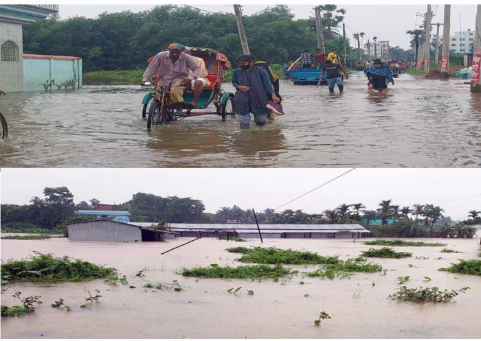 মৌলভীবাজারে বাড়ছে নদীর পানি, বন্যার আশঙ্কা