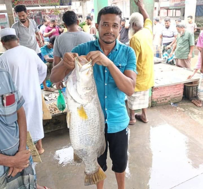আন্ধারমানিক নদীতে ধরা পড়লো ১০ কেজি ওজনের কোরাল