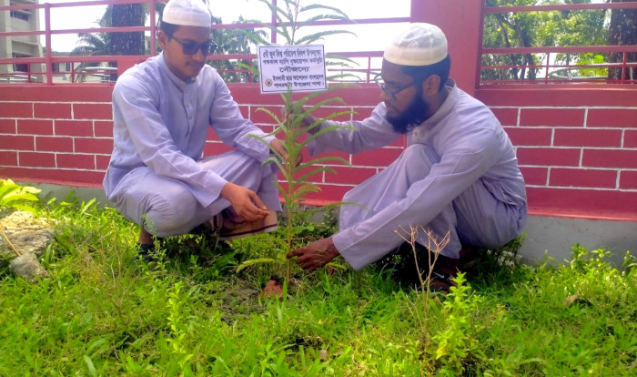 পাথরঘাটায় ইসলামী ছাত্র আন্দোলনের বৃক্ষরোপণ কর্মসূচি