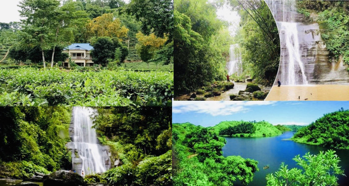 ছুটিতে বর্ষার সেরা সময় হতে পারে চায়ের রাজ্যে