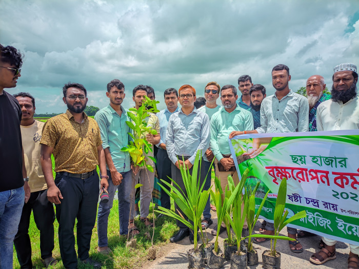 গাছের চারা রোপণ