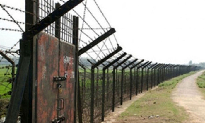 ফাইল ছবি