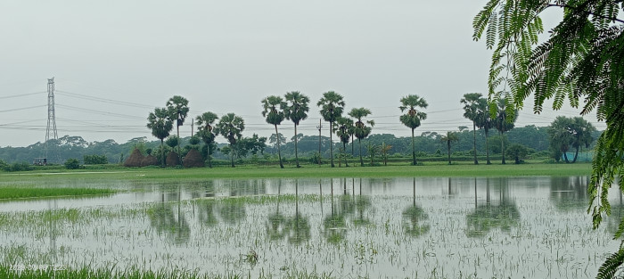 ছবি-ভোরের আকাশ