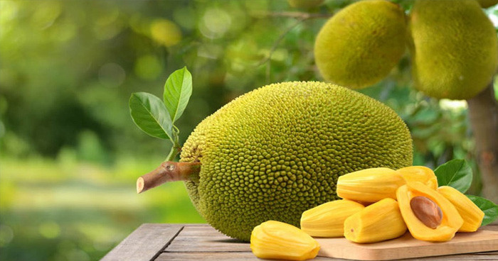 কাঁঠালের ১২টি উপকারিতা