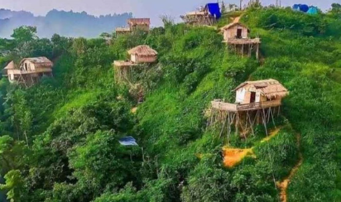 সংগৃহীত ছবি
