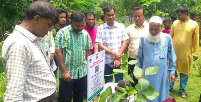 ছবি: ভোরের আকাশ