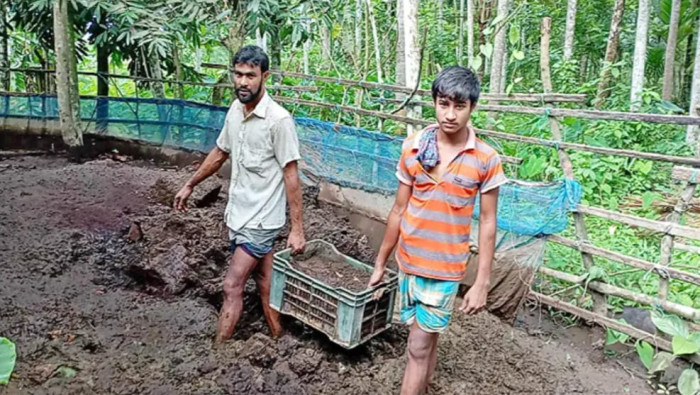 ছবি: ভোরের আকাশ
