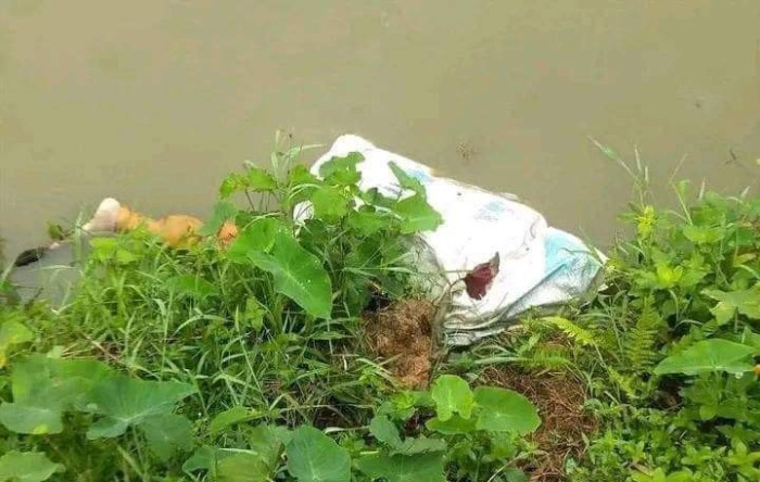 ফাইল ছবি
