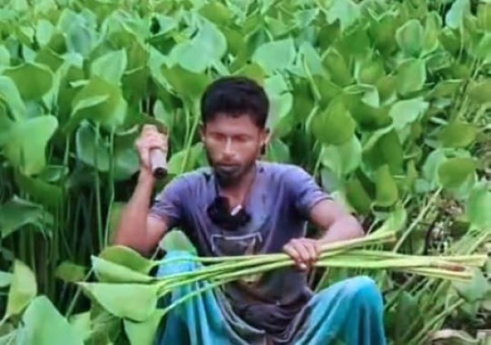 ছবি: ভোরের আকাশ