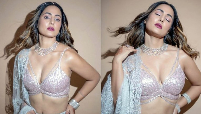 ক্যানসার জয় করে কাজে ফেরার অপেক্ষায় হিনা খান, মিলছে না সুযোগ