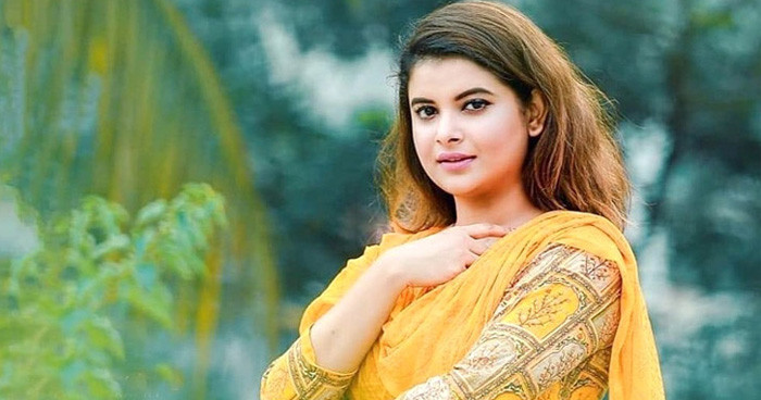 যারাই ক্ষমতায় আসবে তারাই চুরি করবে: শবনম ফারিয়া