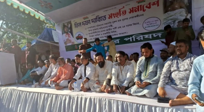 জাতীয় পার্টি নিষিদ্ধের দাবি ২৯ রাজনৈতিক দলের