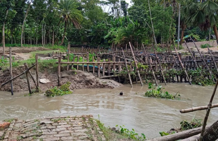 ছবি: ভোরের আকাশ