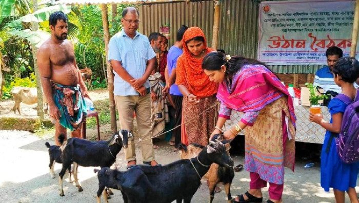 ছবি: ভোরের আকাশ