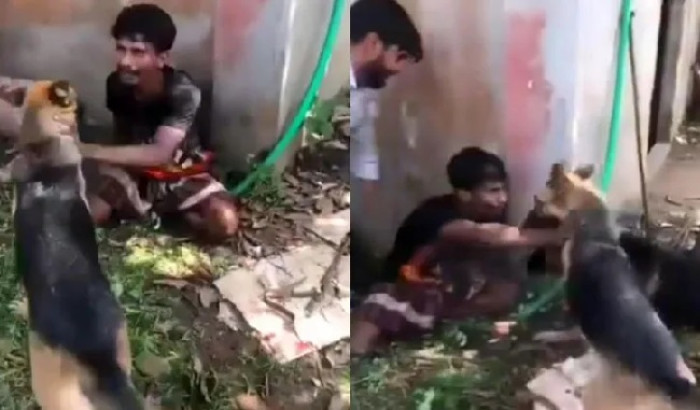 ছবি: ভোরের আকাশ