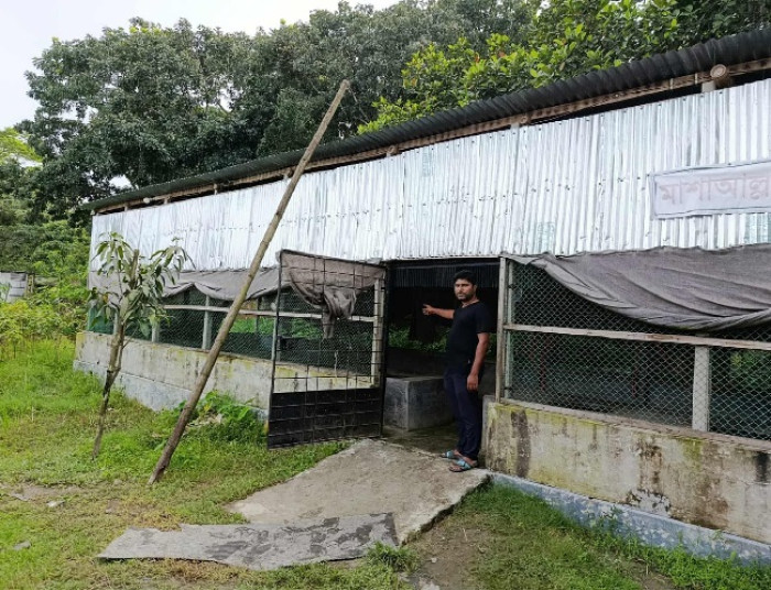ছবি: ভোরের আকাশ