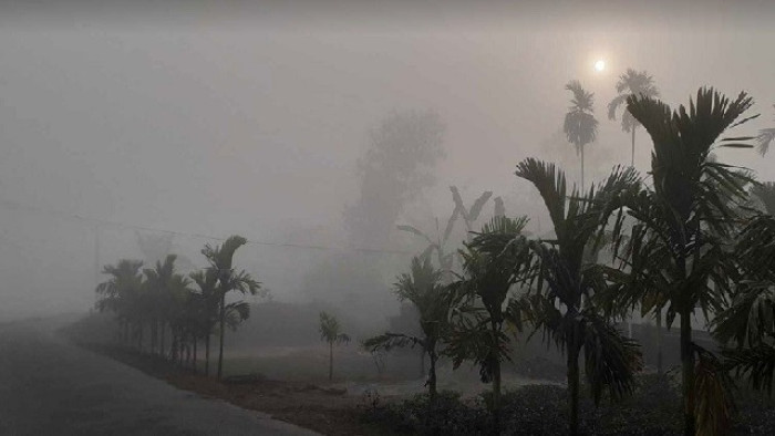 ছবি : সংগৃহীত