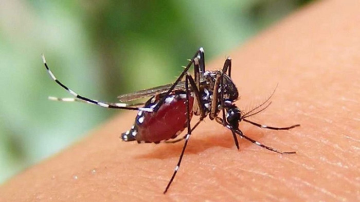 ছবি- সংগৃহীত