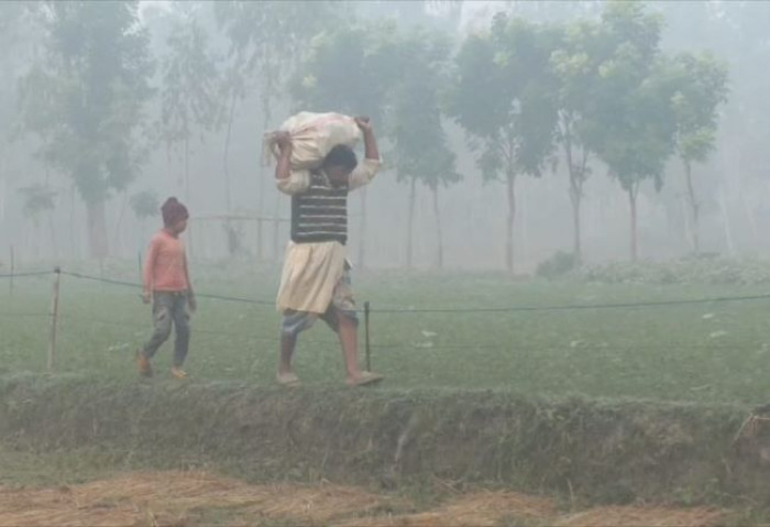 ছবি: ভোরের আকাশ