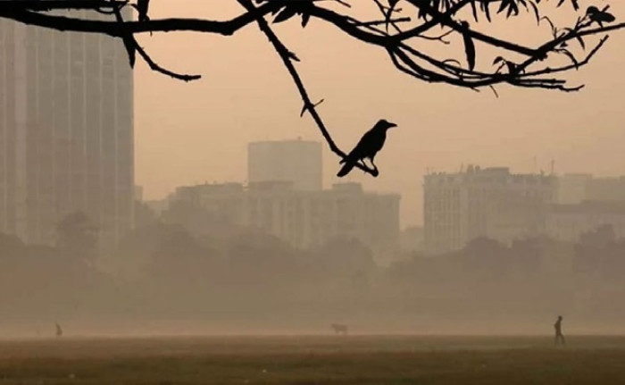 ছবি : সংগৃহীত