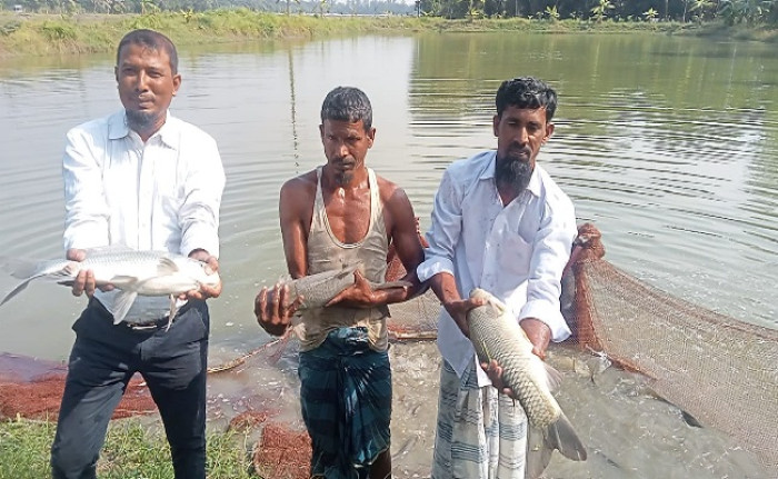 ছবি: ভোরের আকাশ