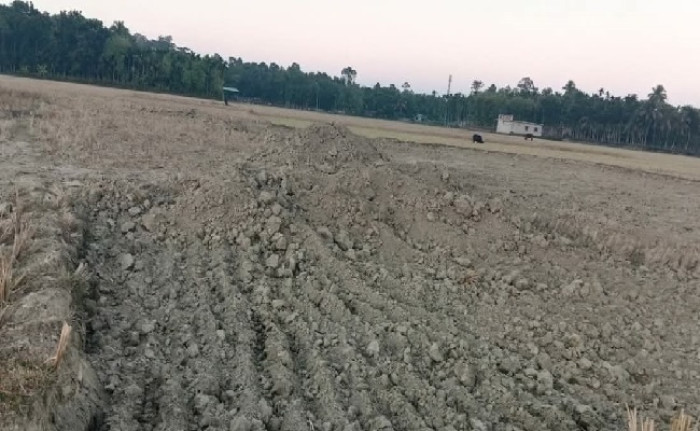ছবি: ভোরের আকাশ