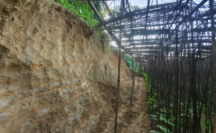 ছবি: ভোরের আকাশ