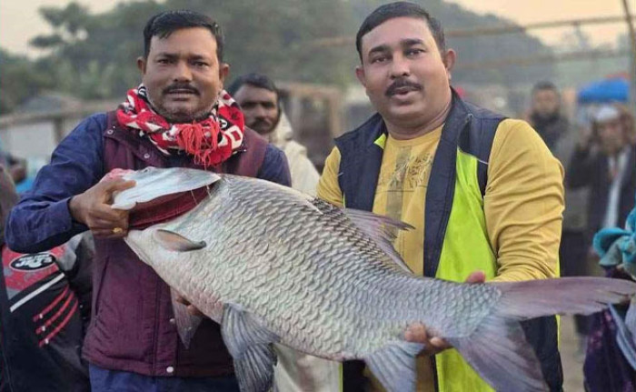 ছবি: ভোরের আকাশ