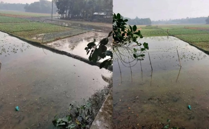 ছবি- ভোরের আকাশ