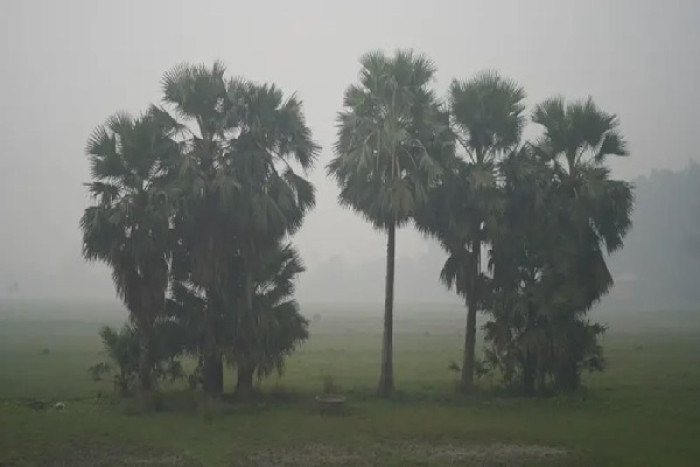 ছবি : সংগৃহীত