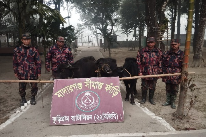 ছবি- ভোরের আকাশ