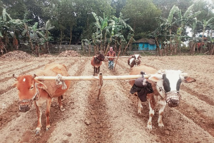 ছবি- ভোরের আকাশ