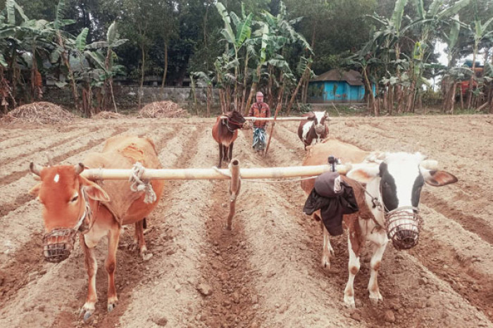 ছবি : ভোরের আকাশ
