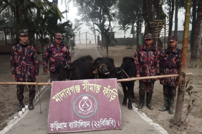 ছবি : ভোরের আকাশ