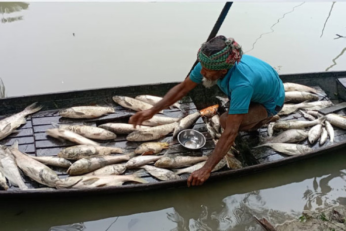 ছবি : ভোরের আকাশ
