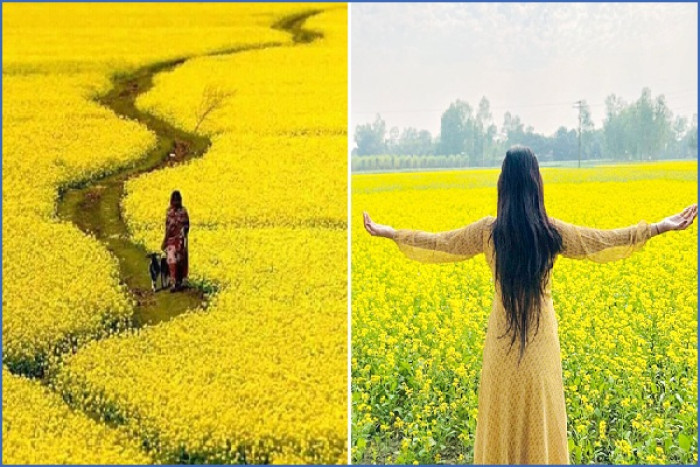 ছবি: ভোরের আকাশ