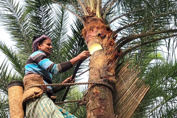 ছবি- ভোরের আকাশ