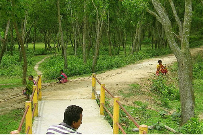ছবি : ভোরের আকাশ