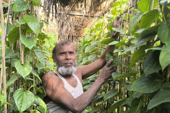 ছবি : ভোরের আকাশ