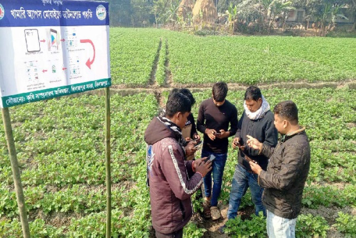 ছবি- ভোরের আকাশ