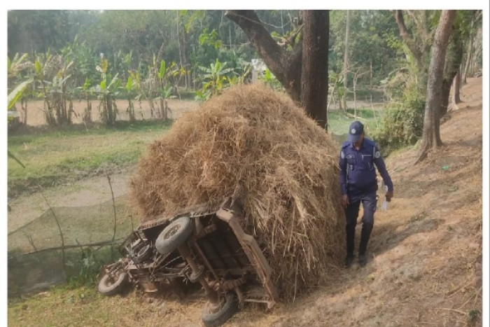 ছবি- সংগৃহীত