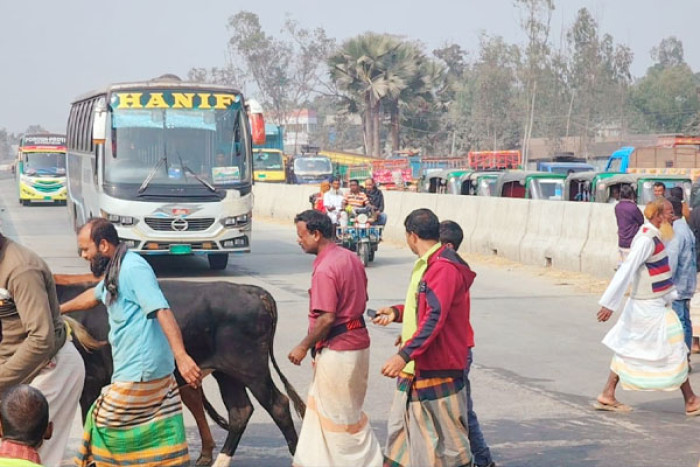 ছবি : ভোরের আকাশ