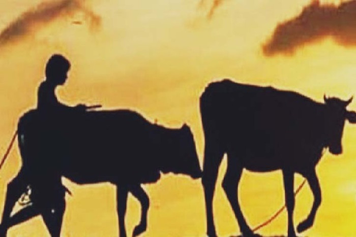 ছবি- সংগৃহীত