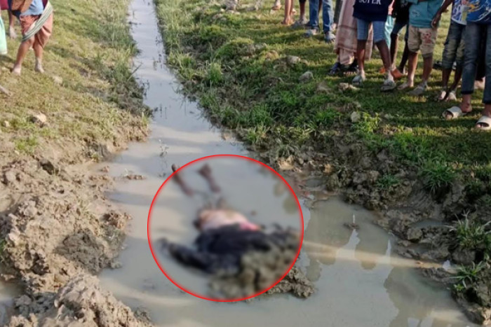 ছবি: ভোরের আকাশ